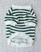 Cooper Green + Ivory Striped Dog Sweatshirt