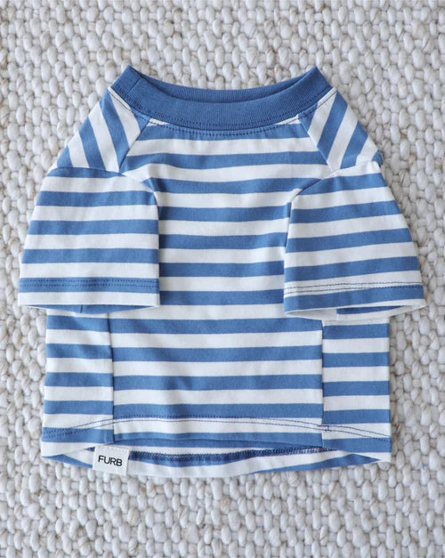 Casual Cutie Blue + White Relaxed Dog T-Shirt