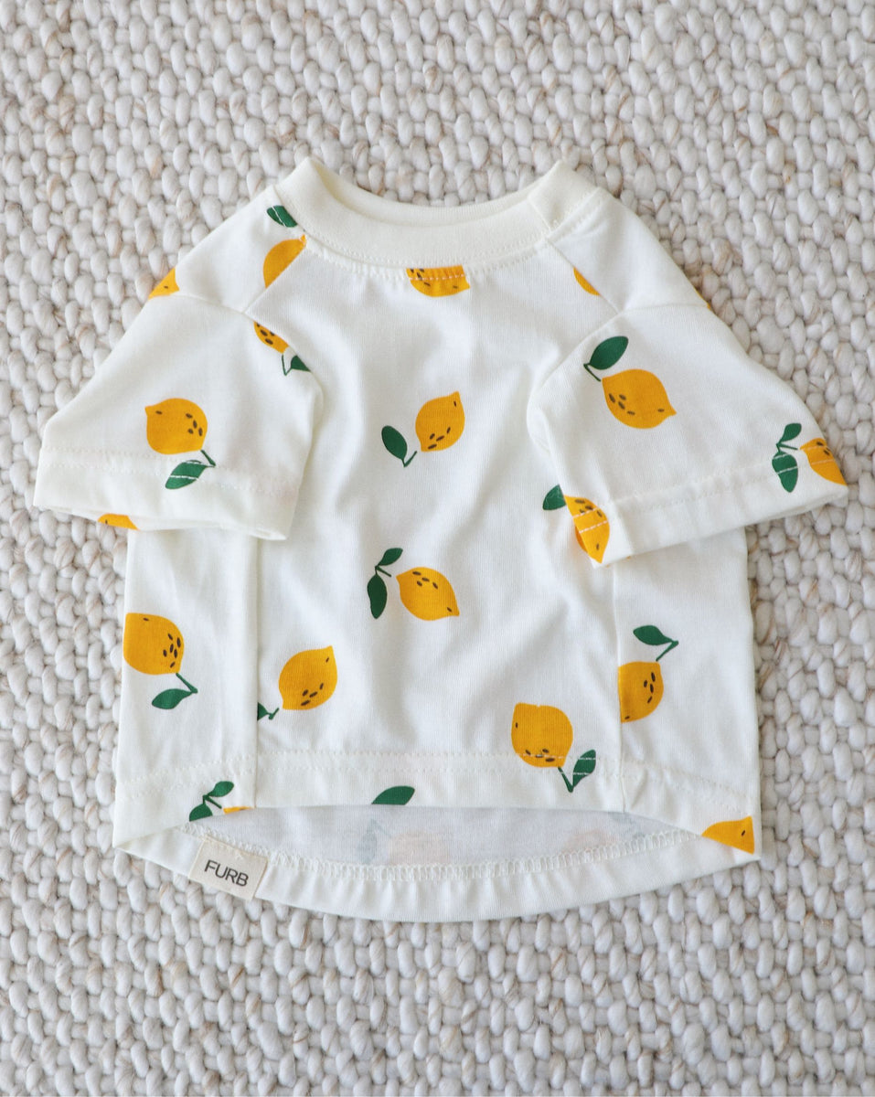 Casual Cutie Lemon Relaxed Dog T-Shirt