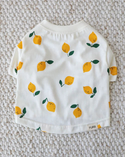 Casual Cutie Lemon Relaxed Dog T-Shirt