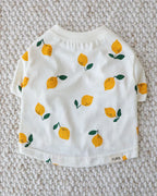 Casual Cutie Lemon Relaxed Dog T-Shirt