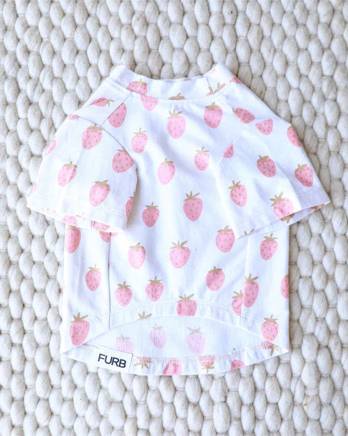 Stay Sweet Strawberry Print Dog T-Shirt