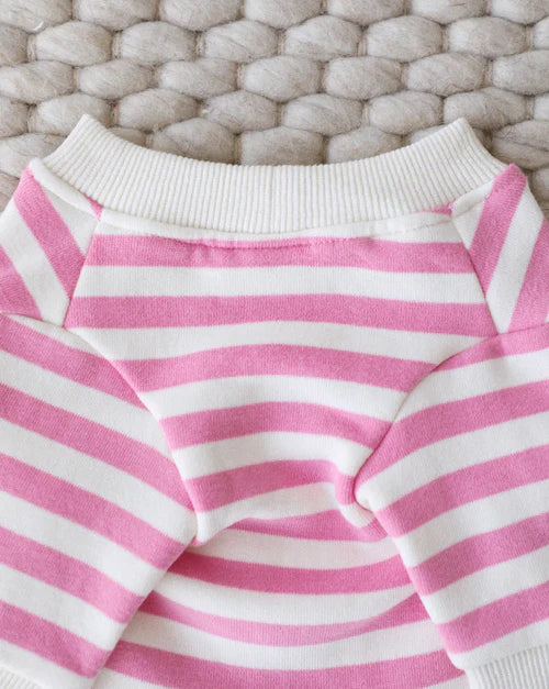 Camden Pink + Ivory Striped Dog Sweatshirt
