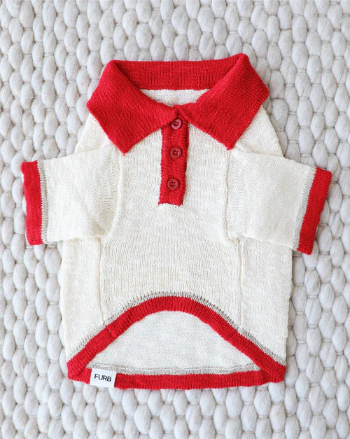 Collar Me Maybe Polo Sweater