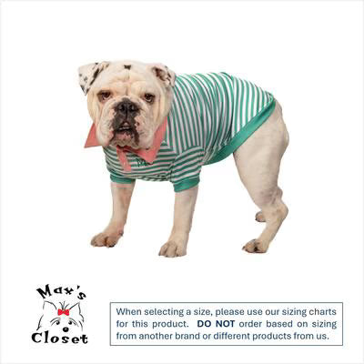 Max's Closet Striped Dog Polo Shirt, Green/Gray