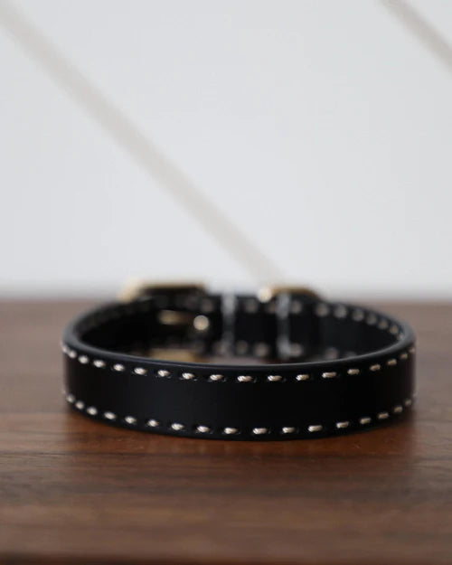 Take the Lead Black Leather Walk Kit, Collar + Leash