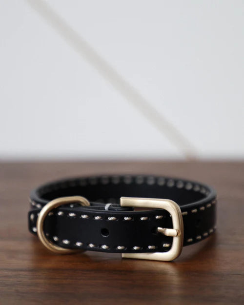 Take the Lead Black Leather Walk Kit, Collar + Leash