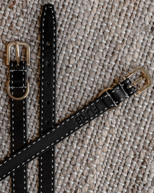 Take the Lead Black Leather Walk Kit, Collar + Leash