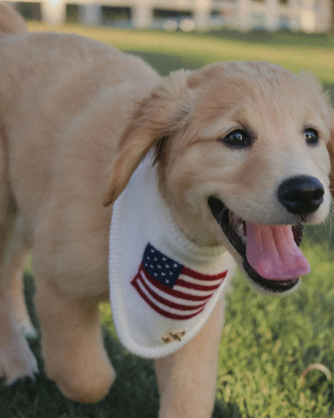 BANDANA | BETSY ROSS