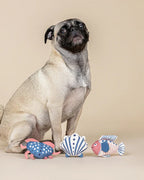 High Tides, Good Vibes Mini Dog Toy Set