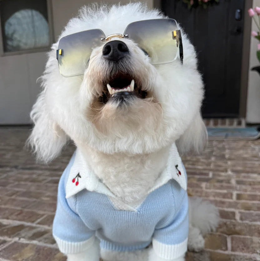 Cherry On Top Light Blue Polo Dog Sweater
