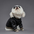 Leader of the Pack Black Letterman Jacket