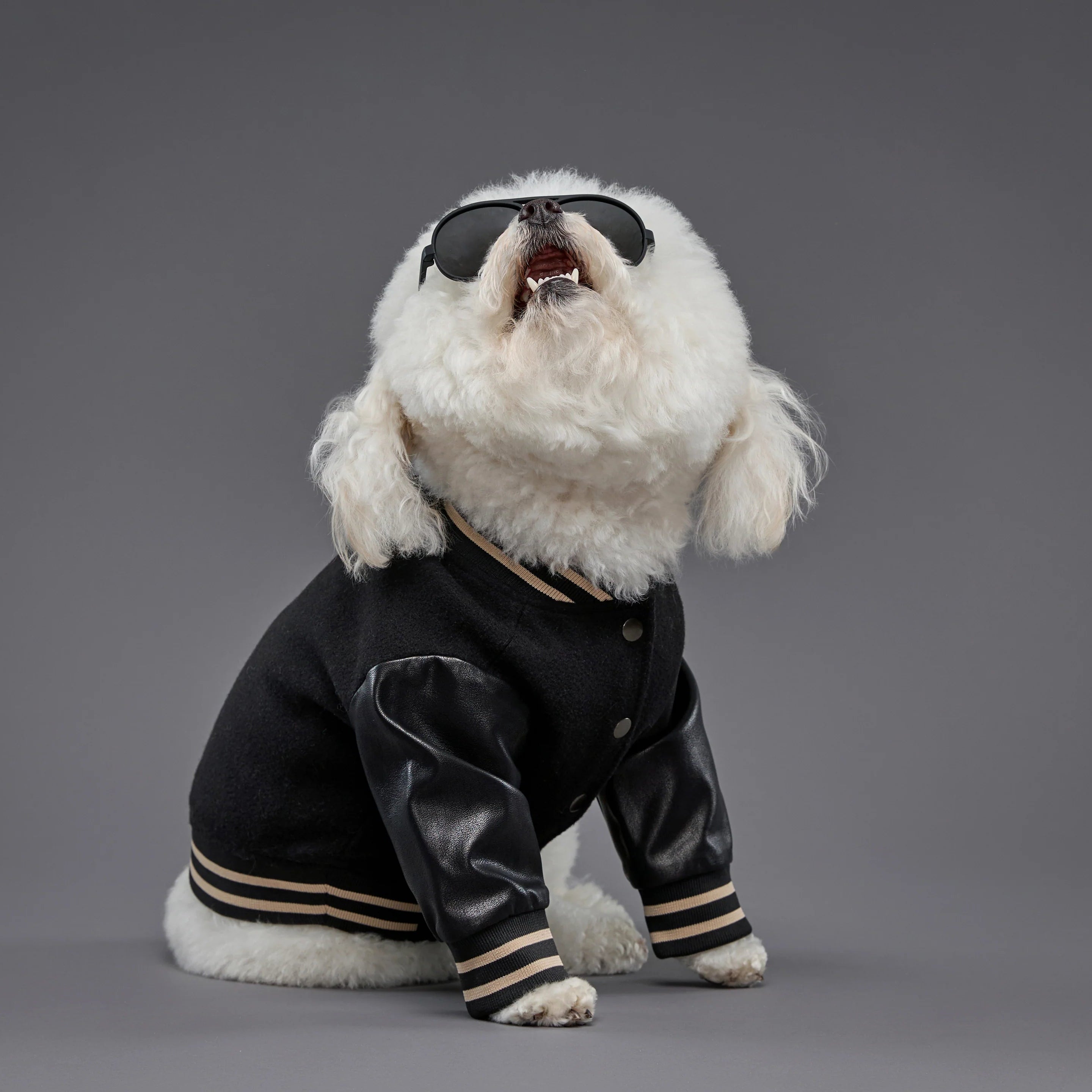 Leader of the Pack Black Letterman Jacket