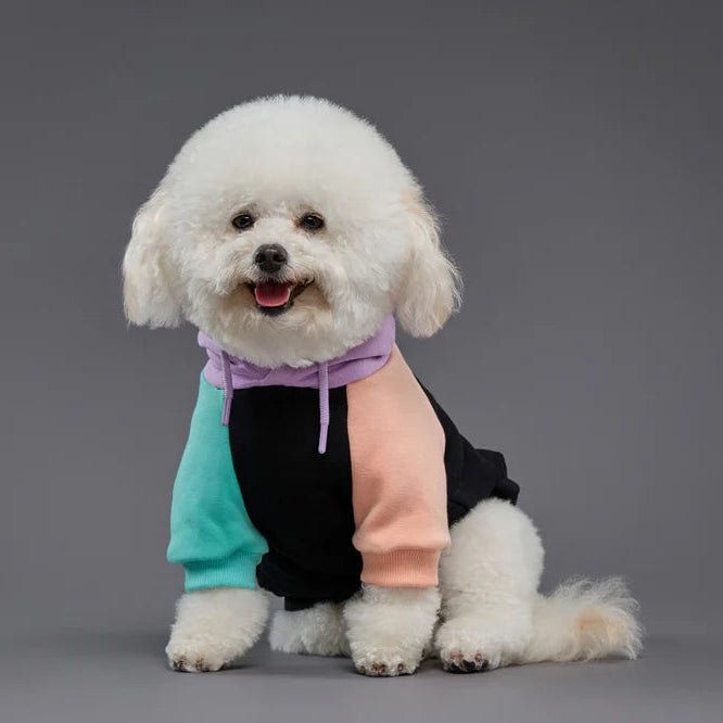 Cyber Punk Dog Hoodie