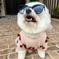 Mon Chéri Blush Cherry Dog Sweater