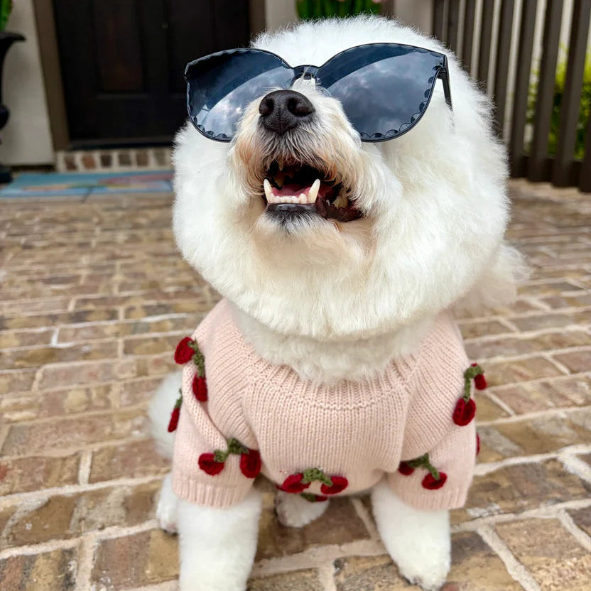 Mon Chéri Blush Cherry Dog Sweater