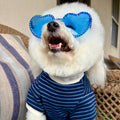 Calvin Blue Striped Dog Sweatshirt