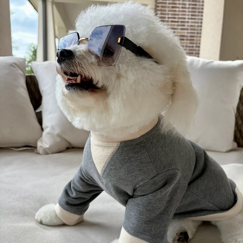 Carter Charcoal Dog Sweatshirt