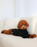 Bobbi Black Eyelash Knit Dog Sweater