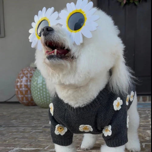 Petal Perfect Grey Daisy Dog Sweater