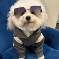 Pupper Classmen Gray Wool Varsity Jacket