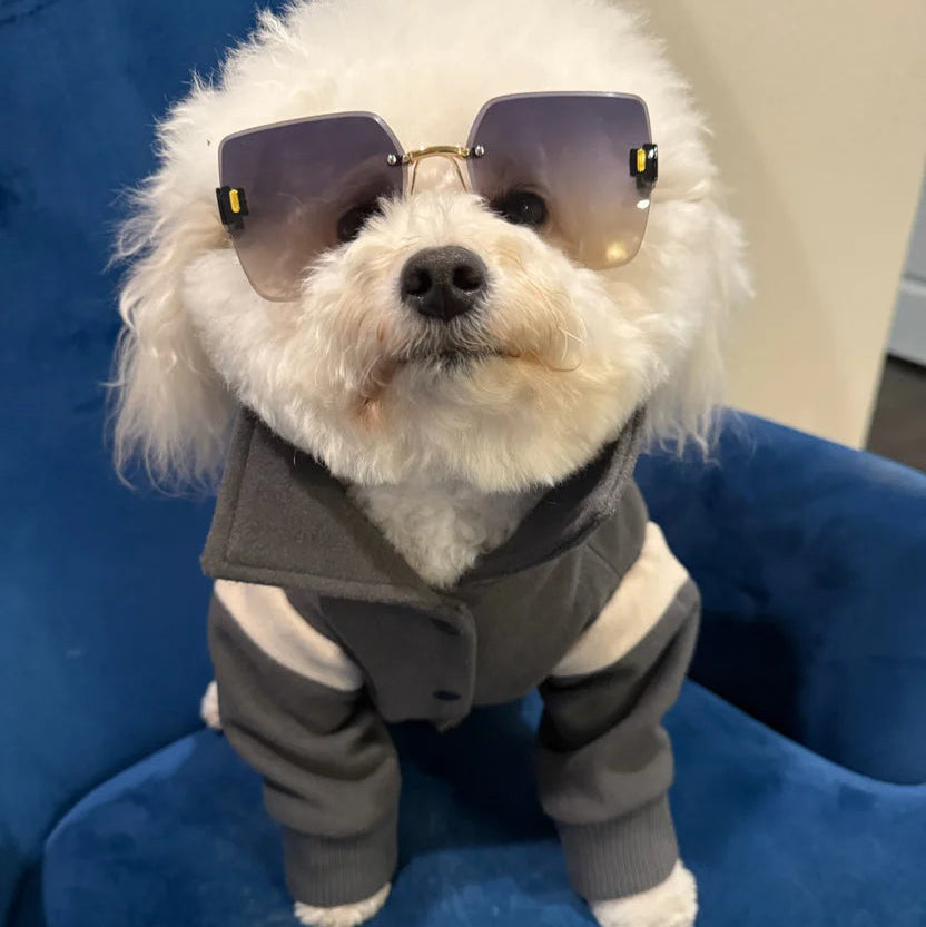 Pupper Classmen Gray Wool Varsity Jacket