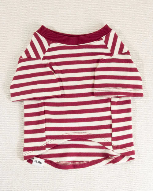Playful Pooch Red + Ivory Striped Dog T-Shirt