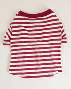 Playful Pooch Red + Ivory Striped Dog T-Shirt