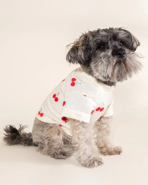 Casual Cutie Cherry Relaxed Dog T-Shirt