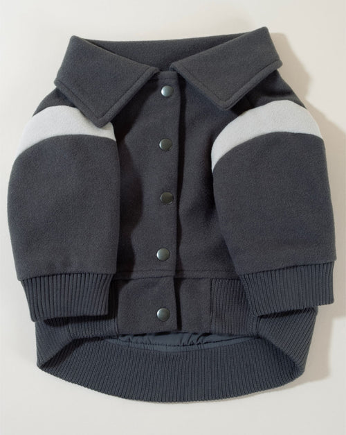Pupper Classmen Gray Wool Varsity Jacket