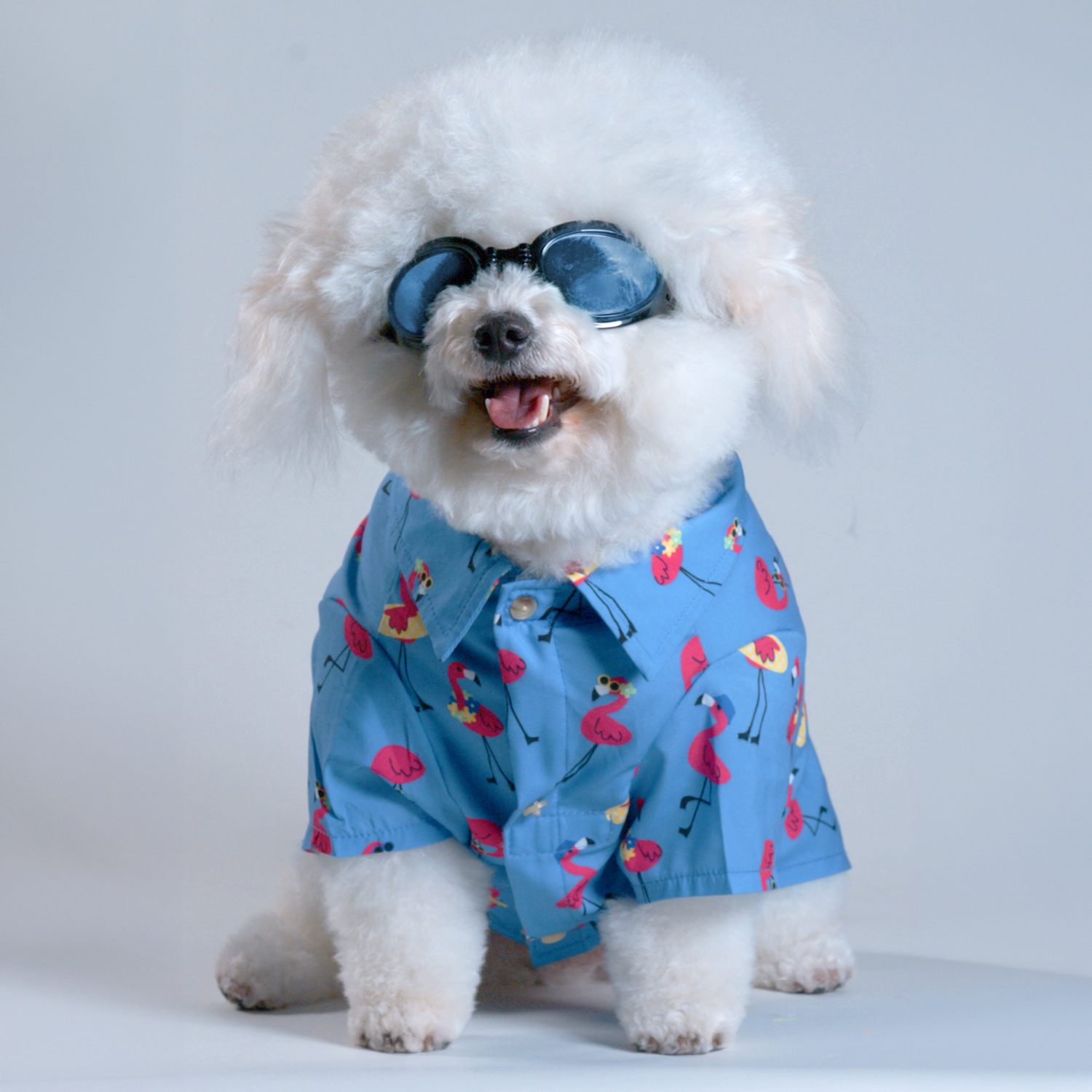 Frisco Summer Flamingo Dog & Cat Polo
