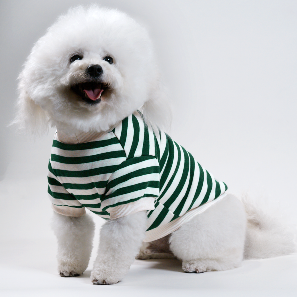 Cooper Green + Ivory Striped Dog Sweatshirt