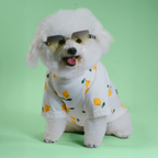 Casual Cutie Lemon Relaxed Dog T-Shirt