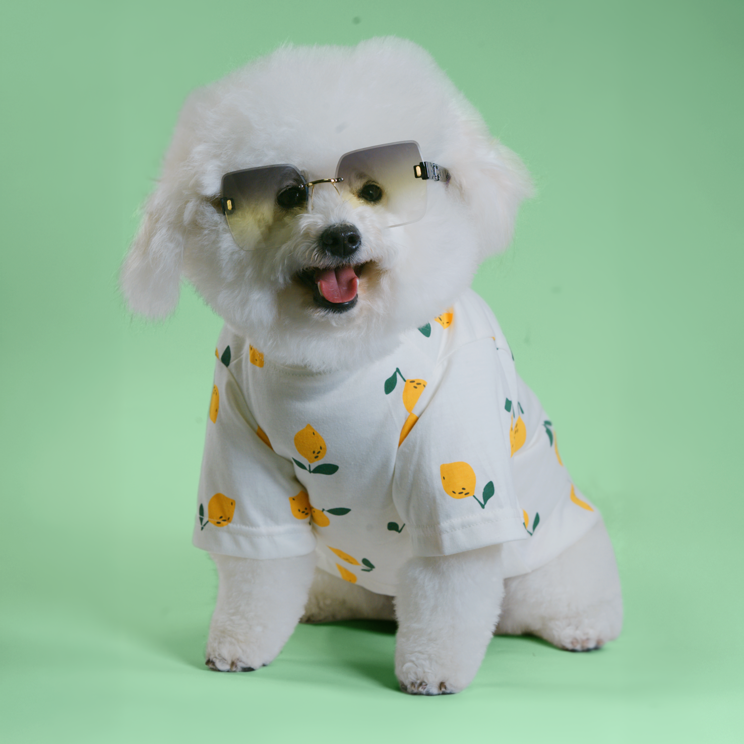 Casual Cutie Lemon Relaxed Dog T-Shirt