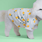 Casual Cutie Lemon Relaxed Dog T-Shirt