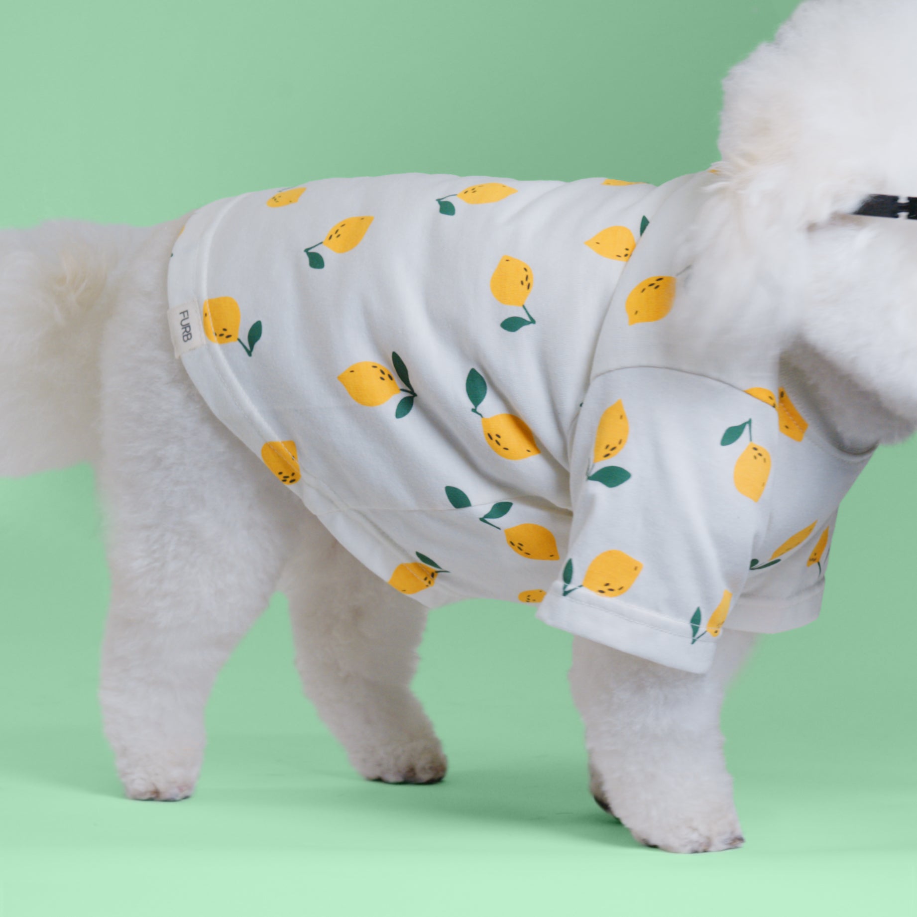 Casual Cutie Lemon Relaxed Dog T-Shirt