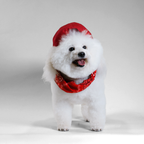 Hello Dolly Red Paisley Dog Bandana