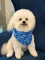 Pups Ahoy! Dog Bandana