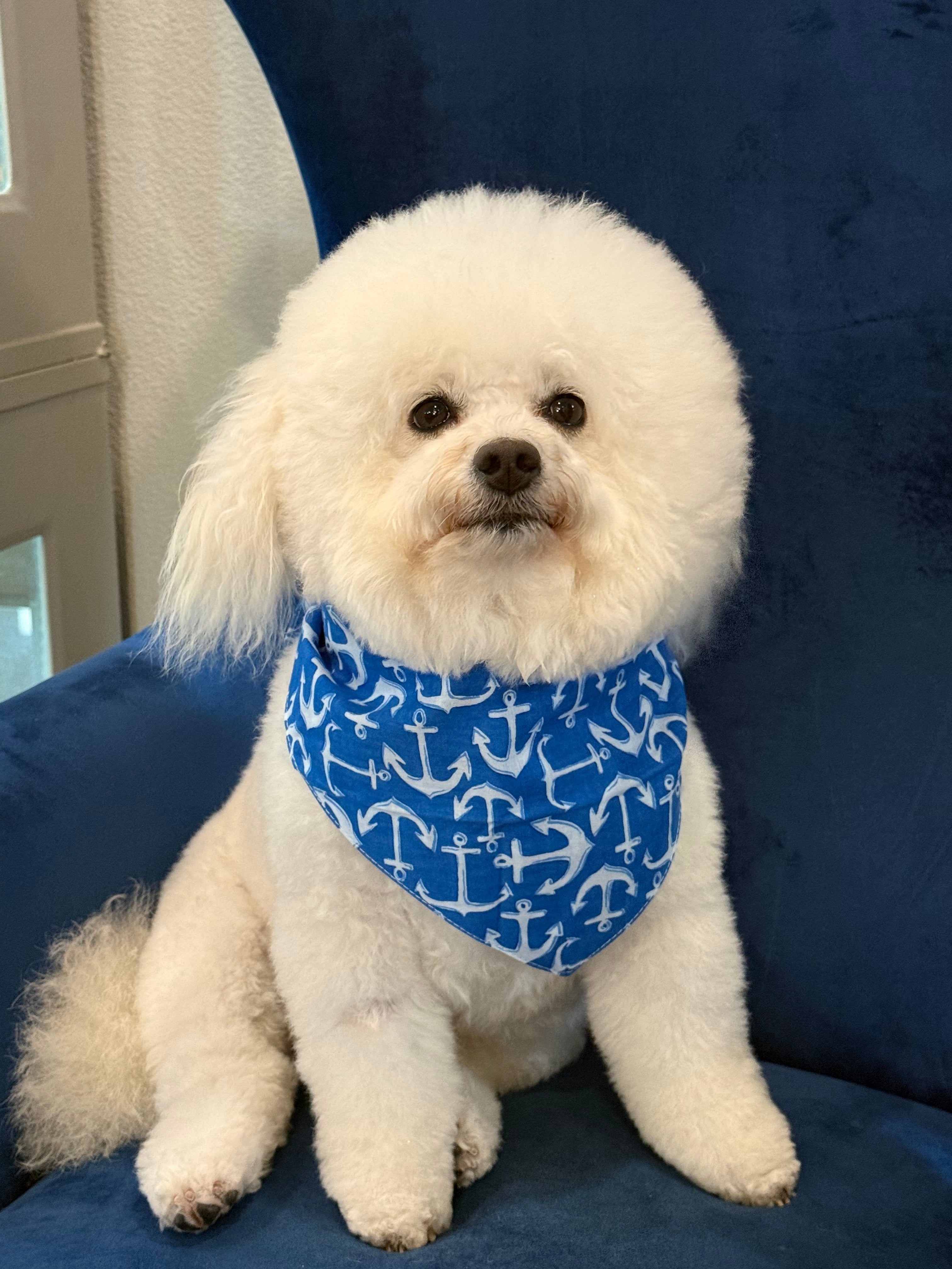 Pups Ahoy! Dog Bandana