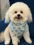 In a Pinch Blue Dog Bandana
