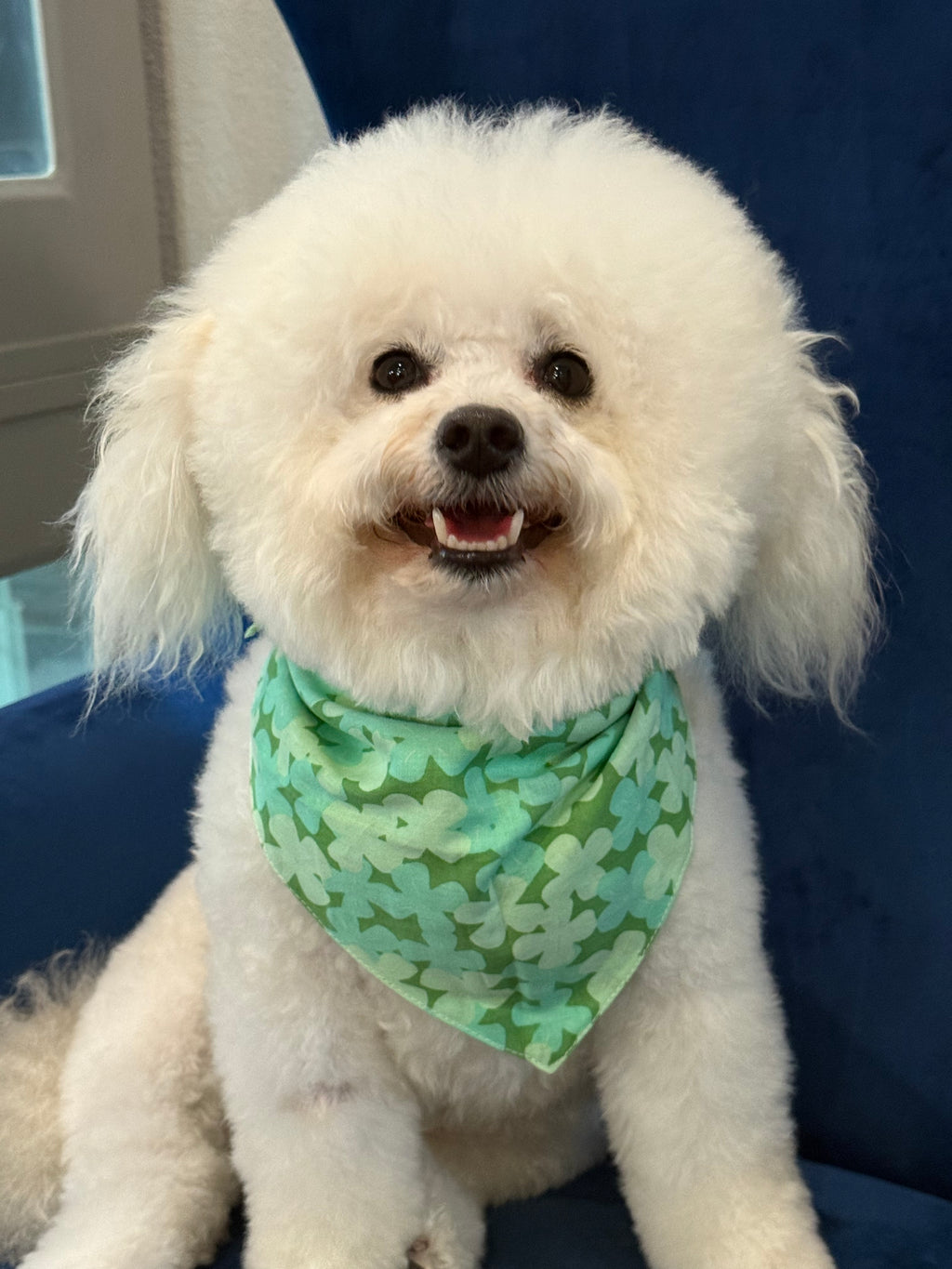 The Paws Clover Dog & Cat Bandana, Green