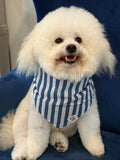 Paige Blue Striped Dog Bandana