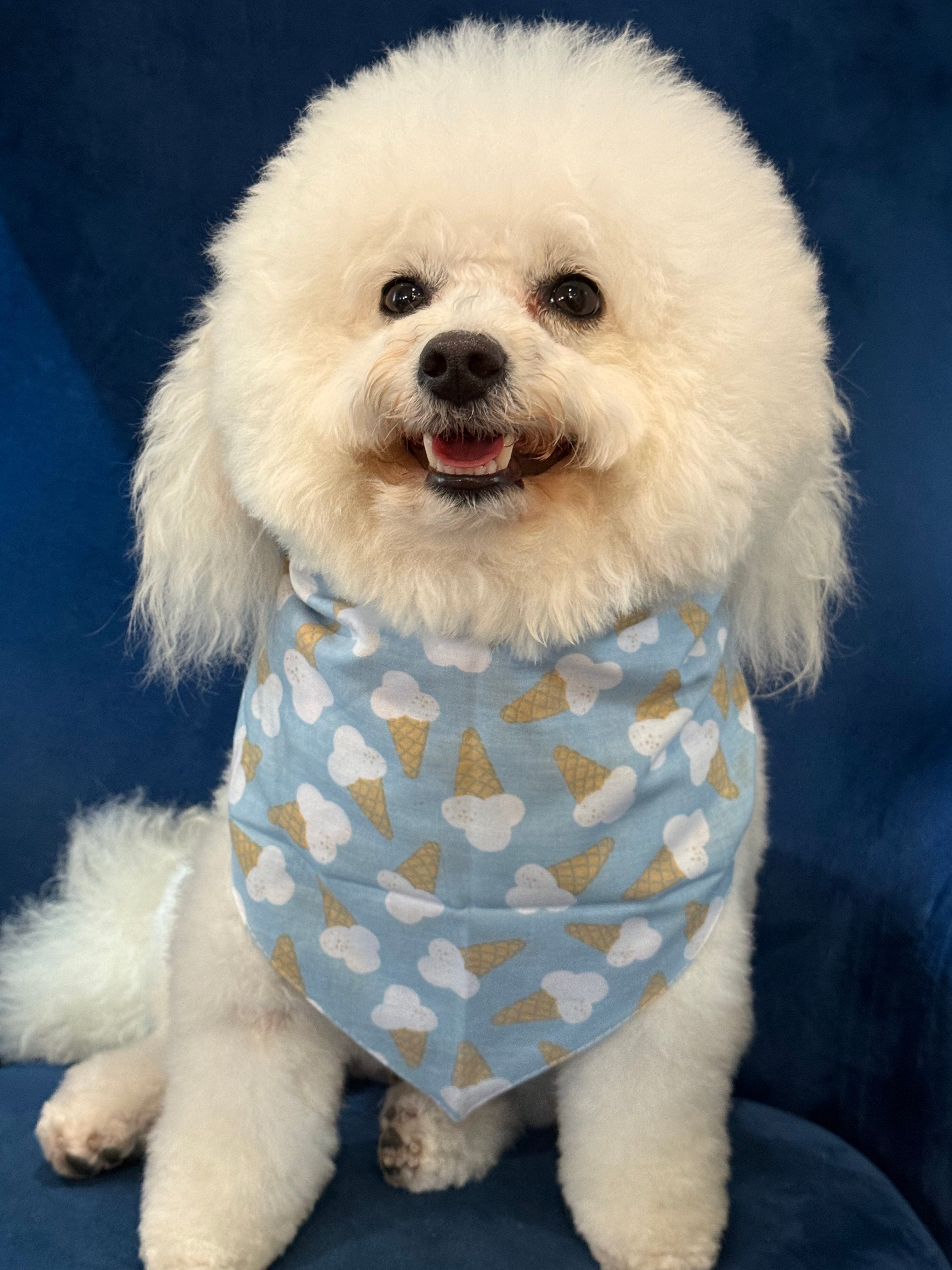 Sweet Tooth Blue Dog Bandana