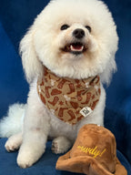 Buckaroo Western Print Dog Bandana