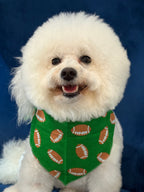 The Paws Defender Dog & Cat Bandana, Green