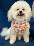 Main Squeeze Pup Dog Bandana