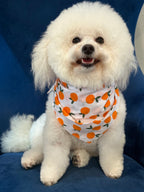 Main Squeeze Pup Dog Bandana
