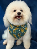 El Tigre Green Print Dog Bandana