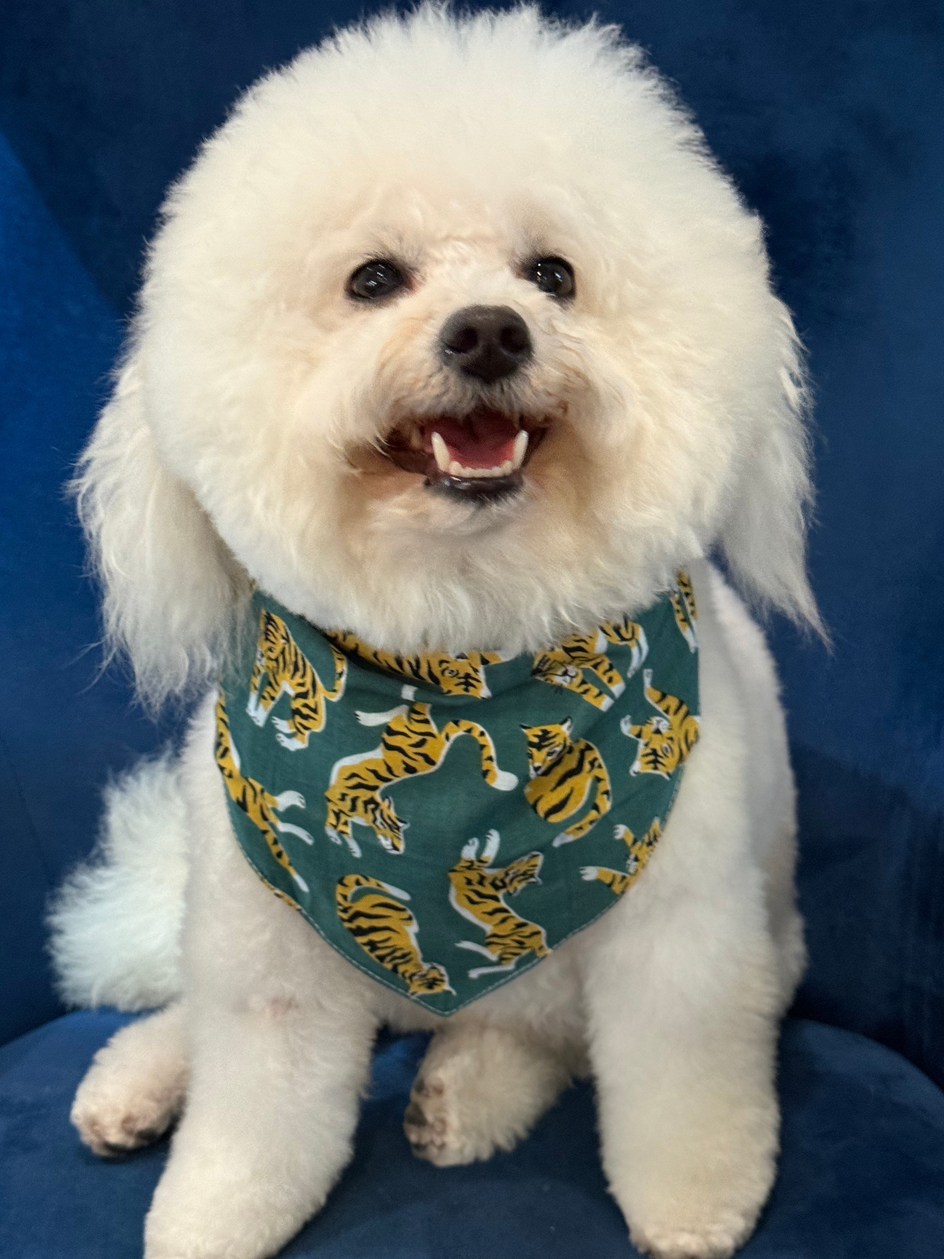 El Tigre Green Print Dog Bandana