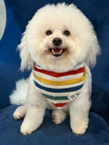 Beach Blanket Bingo Multi Striped Dog Bandana